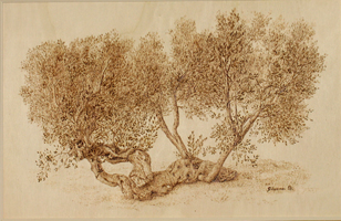 Creatura Violata - 61x41 - Primo premio concorso poesia